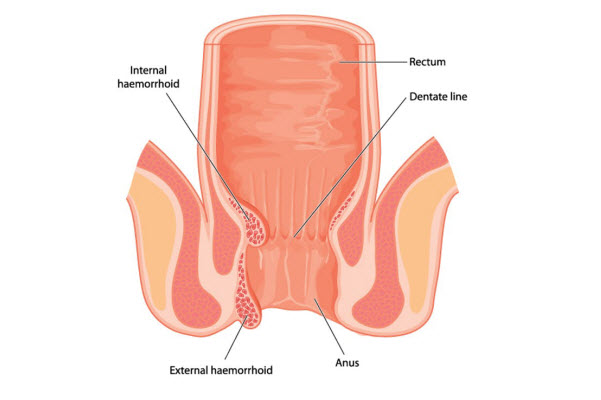 Internal image of lower part of human body